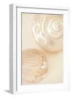 Ocean Treasures II-Karyn Millet-Framed Photographic Print