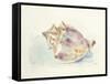 Ocean Treasures III-Patti Mann-Framed Stretched Canvas