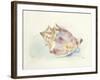 Ocean Treasures III-Patti Mann-Framed Art Print