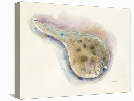 Ocean Treasures IV-Patti Mann-Stretched Canvas