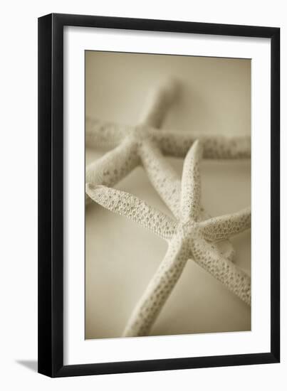 Ocean Treasures V-Karyn Millet-Framed Photographic Print