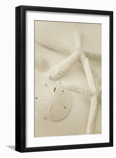 Ocean Treasures VI-Karyn Millet-Framed Premium Photographic Print