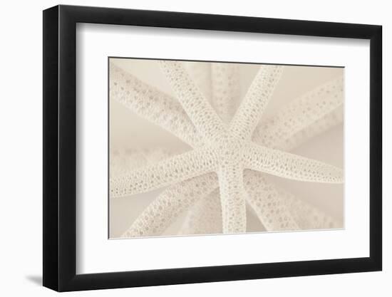 Ocean Treasures VII-Karyn Millet-Framed Photographic Print