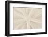 Ocean Treasures VII-Karyn Millet-Framed Photographic Print