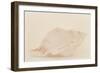 Ocean Treasures VIII-Karyn Millet-Framed Photographic Print