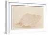 Ocean Treasures VIII-Karyn Millet-Framed Photographic Print