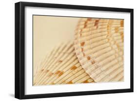 Ocean Treasures XIII-Karyn Millet-Framed Photographic Print
