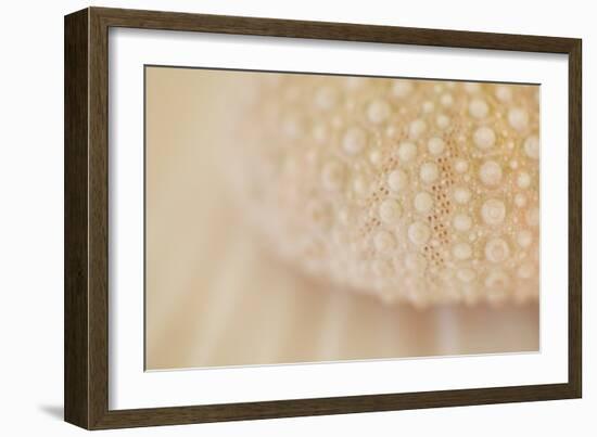 Ocean Treasures XV-Karyn Millet-Framed Photographic Print