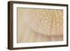 Ocean Treasures XV-Karyn Millet-Framed Photographic Print