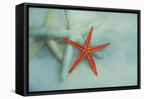 Ocean Treasures-Jai Johnson-Framed Stretched Canvas