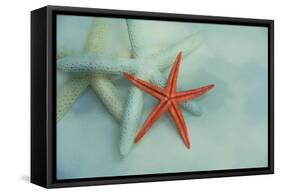 Ocean Treasures-Jai Johnson-Framed Stretched Canvas