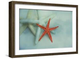 Ocean Treasures-Jai Johnson-Framed Giclee Print