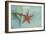 Ocean Treasures-Jai Johnson-Framed Giclee Print