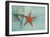 Ocean Treasures-Jai Johnson-Framed Giclee Print