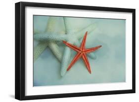 Ocean Treasures-Jai Johnson-Framed Giclee Print