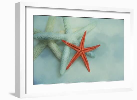 Ocean Treasures-Jai Johnson-Framed Giclee Print