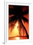 Ocean Tropical Sunset Palm Tree beach-null-Framed Photo