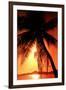 Ocean Tropical Sunset Palm Tree beach-null-Framed Photo
