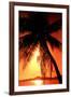 Ocean Tropical Sunset Palm Tree beach-null-Framed Photo