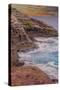 Ocean view from Spitting Caves. Oahu. Hawaii.-Tom Norring-Stretched Canvas