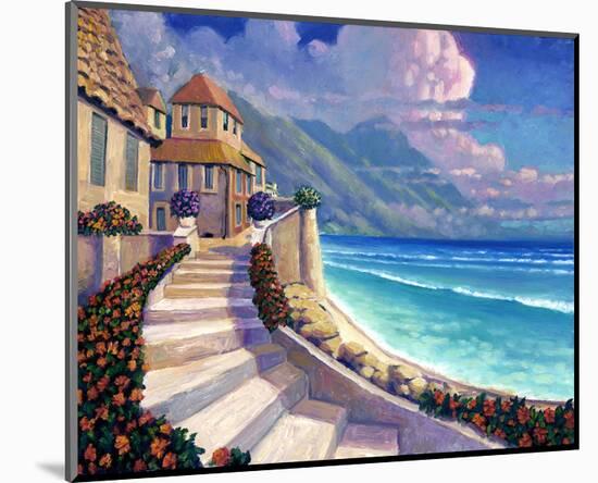 Ocean View II-Rick Novak-Mounted Premium Giclee Print