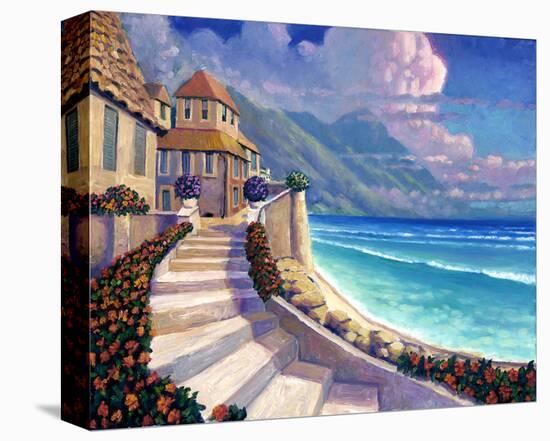 Ocean View II-Rick Novak-Stretched Canvas