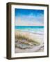 Ocean View-Julie DeRice-Framed Art Print