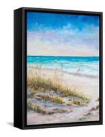 Ocean View-Julie DeRice-Framed Stretched Canvas