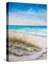 Ocean View-Julie DeRice-Stretched Canvas