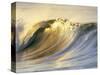 Ocean Wave Breaking-David Pu'u-Stretched Canvas