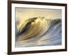 Ocean Wave Breaking-David Pu'u-Framed Photographic Print