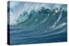 Ocean Wave-Rick Doyle-Stretched Canvas