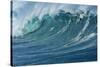 Ocean Wave-Rick Doyle-Stretched Canvas