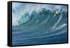 Ocean Wave-Rick Doyle-Framed Stretched Canvas