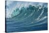 Ocean Wave-Rick Doyle-Stretched Canvas