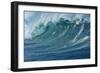 Ocean Wave-Rick Doyle-Framed Photographic Print