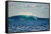 Ocean Waves II-Lee Peterson-Framed Stretched Canvas