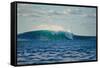 Ocean Waves II-Lee Peterson-Framed Stretched Canvas