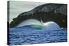 Ocean Waves III-Lee Peterson-Stretched Canvas