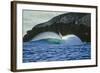 Ocean Waves III-Lee Peterson-Framed Photographic Print