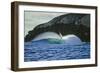 Ocean Waves III-Lee Peterson-Framed Photographic Print