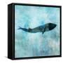 Ocean Whale 1-Ken Roko-Framed Stretched Canvas