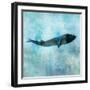 Ocean Whale 1-Ken Roko-Framed Art Print