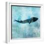 Ocean Whale 1-Ken Roko-Framed Art Print