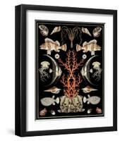 Oceana - Coral on Black-Susan Clickner-Framed Art Print