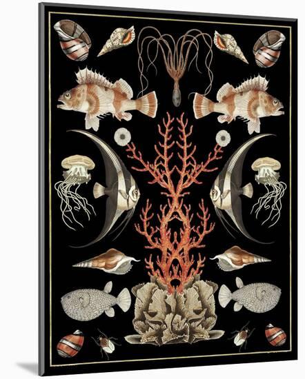 Oceana - Coral on Black-Susan Clickner-Mounted Art Print