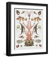 Oceana - Coral on White-Susan Clickner-Framed Art Print