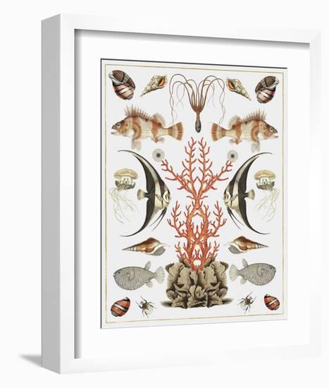 Oceana - Coral on White-Susan Clickner-Framed Art Print