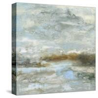 Oceana II-Sharon Gordon-Stretched Canvas