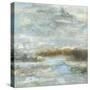 Oceana II-Sharon Gordon-Stretched Canvas